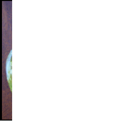 2008-09-03%20murano.gif